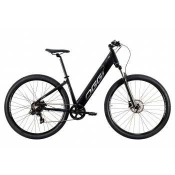 E-BIKE FLEX 200 2021