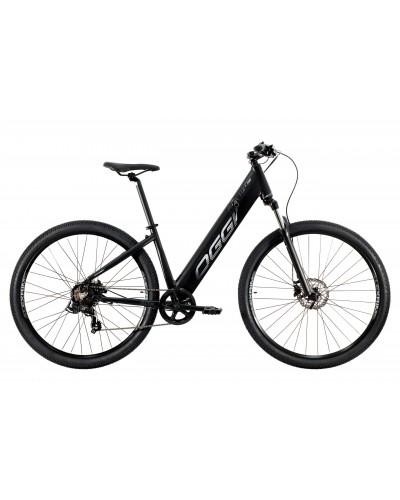 E-BIKE FLEX 200 2021