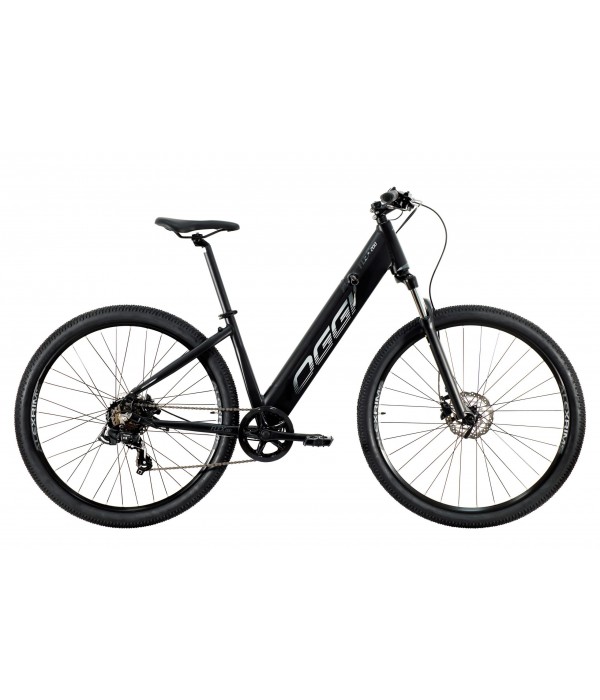 E-BIKE FLEX 200 2021